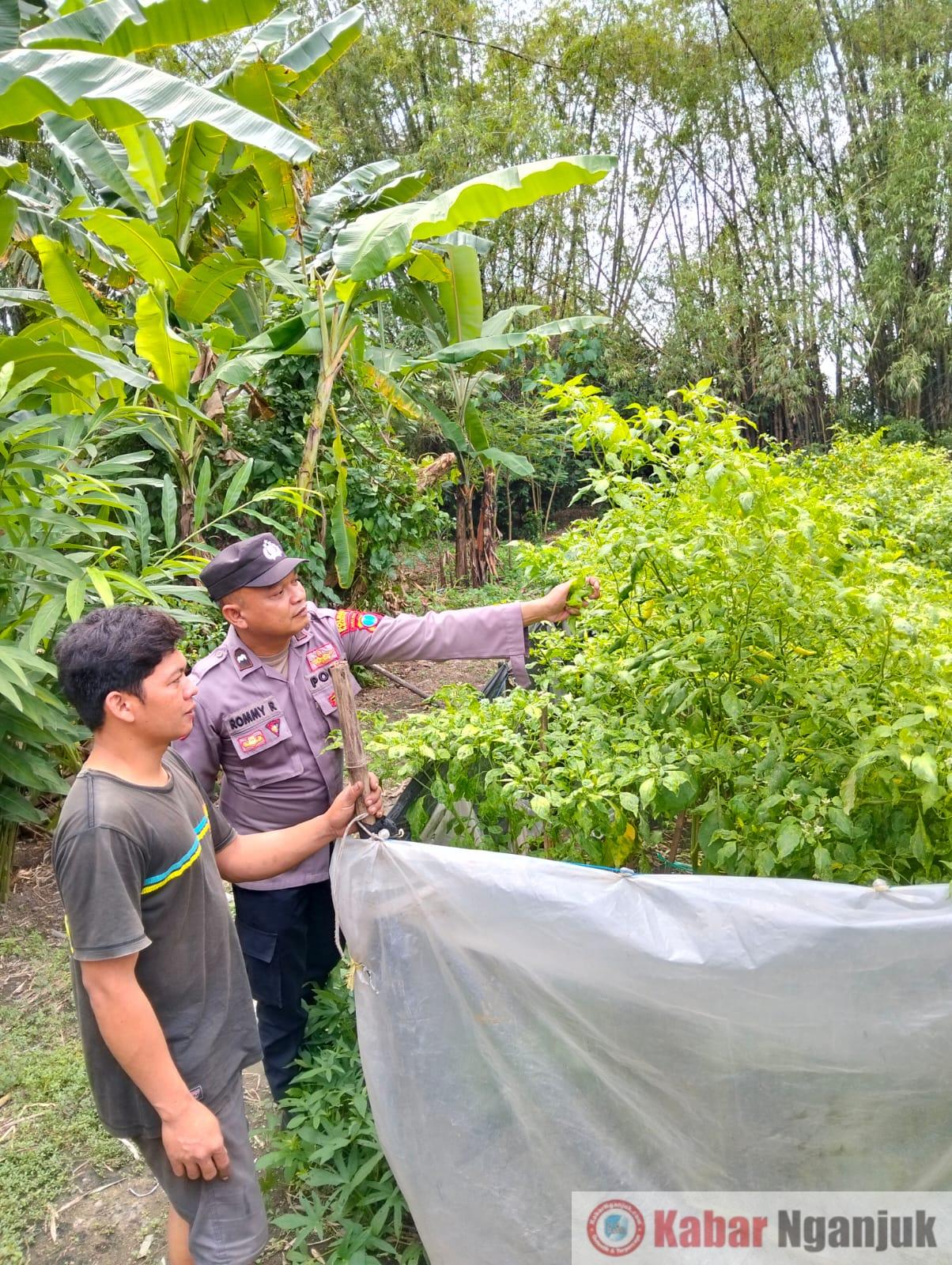 WhatsApp Image 2025-07-22 at 08.59.14